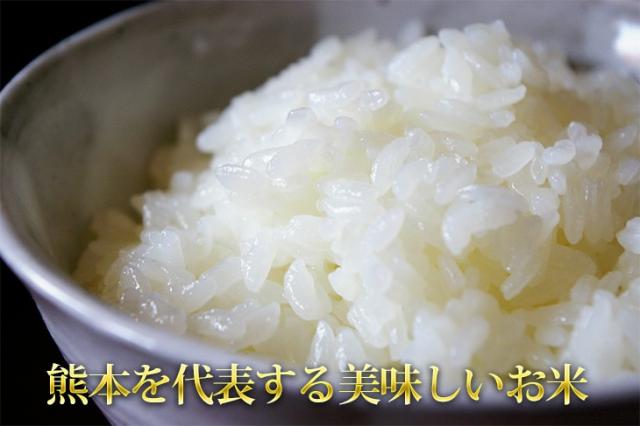 熊本を代表する美味しいお米