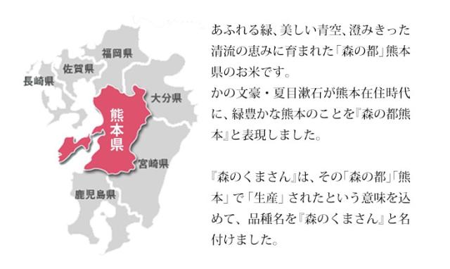 森の都熊本で生産されたという意味をこめて、品種名を森のくまさんと名付けました。