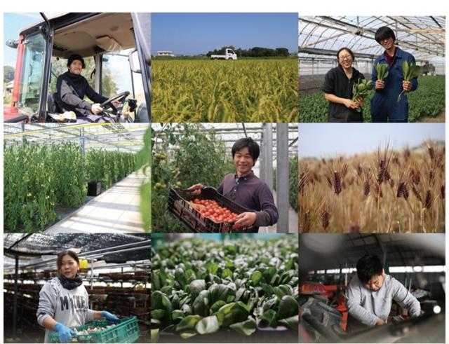 立派な商品名です