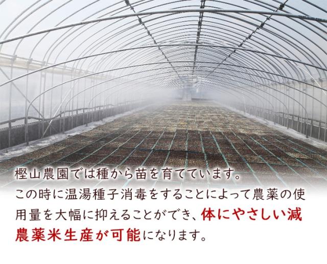 体にやさしい減農薬米生産