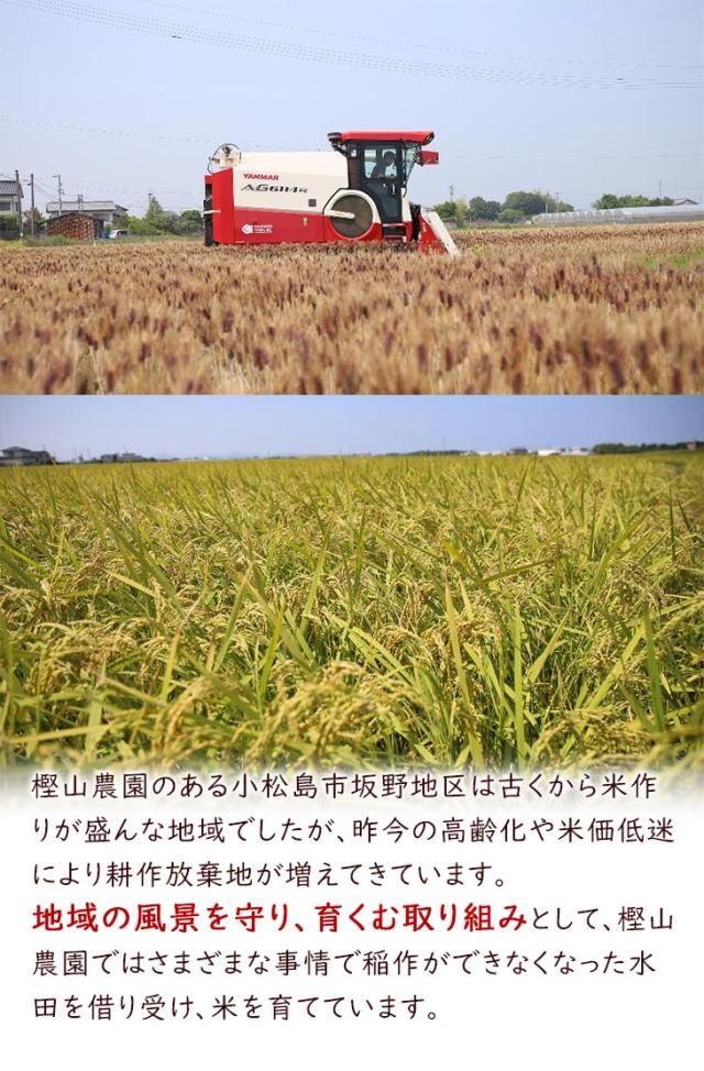 地域の風景を守り、育む取り組み