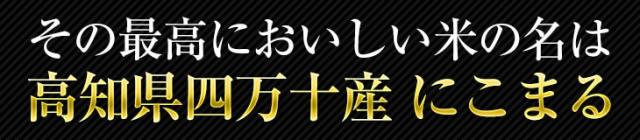 その最高においしい米の名は高知県四万十産にこまる