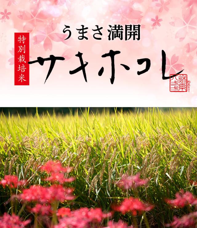 うまさ満開 サキホコレ