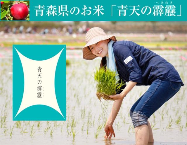 青森県のお米「青天の霹靂」