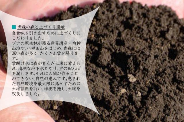 恵まれた自然環境を最大限に活かすために土壌診断を行い、堆肥を施し、土壌を改良しました。