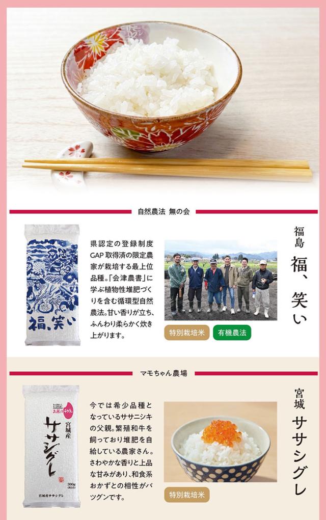 福笑い、ササシグレ