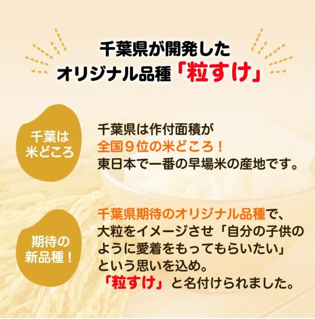 千葉県が開発したオリジナル品種「粒すけ」