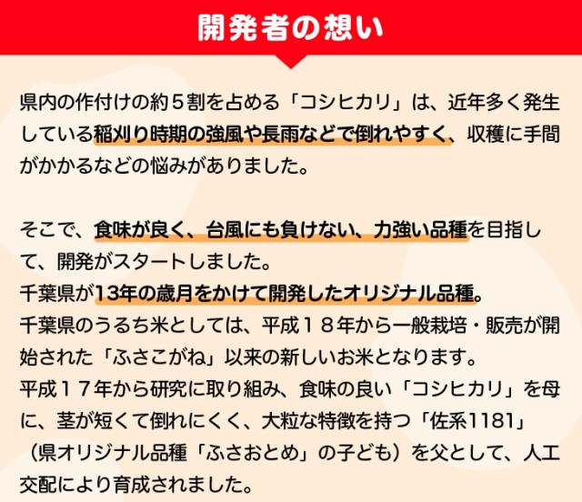 開発者の想い