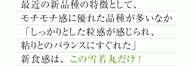 しっかりとした粒感が感じられ、粘りとのバランスにすぐれた新食感