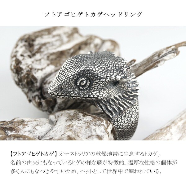 Cold I's フトアゴヒゲトカゲ ヘッド リング 15〜27号 シルバー