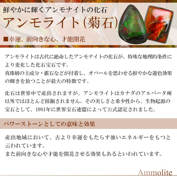 超激得大人気 アンモライト アンモナイトの通販はau PAY マーケット - 新宿銀の蔵 シルバーアクセサリーと天然石のお店|商品ロット シルバー ペンダントトップ ペンダントヘッド 天然石 パワーストーン 大特価新品