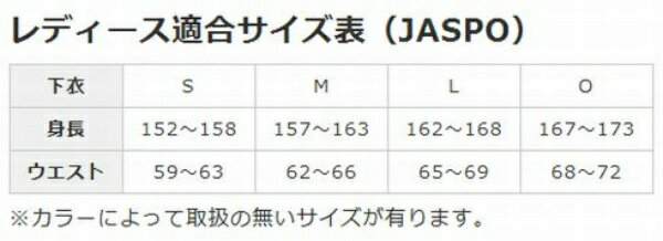 ロング96 Bg8000 Ru K2mj5d0196 ランニング レディース タイツ Ii 通販 ミズノmizuno バイオギアタイツ Www Mw Architects Com