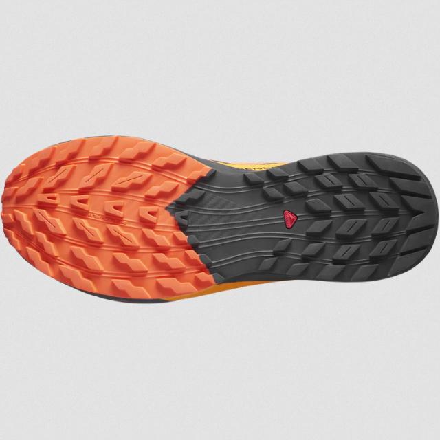 サロモン センスライド 5 GTX(GORE-TEX) 26.0cm ブラック×Sアイビス #L47147300 送料無料 SALOMON