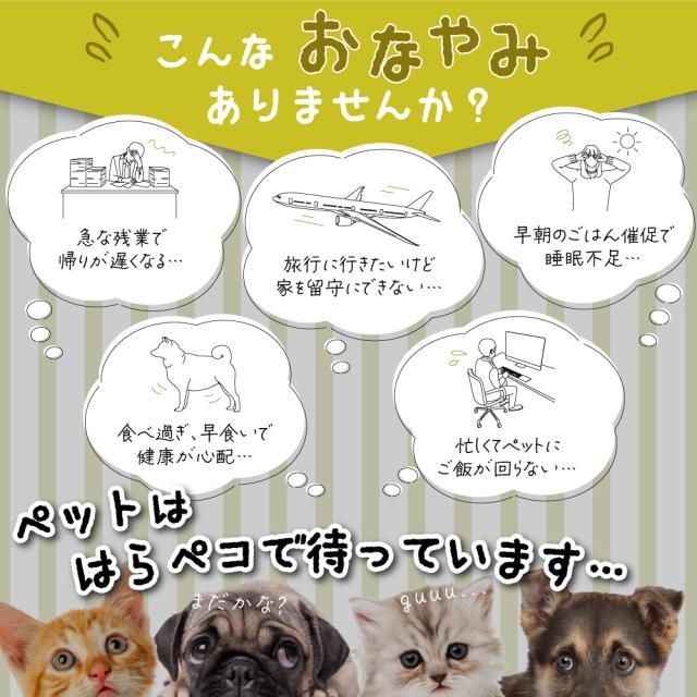 犬猫用自動給餌器 ごはんもりもり君