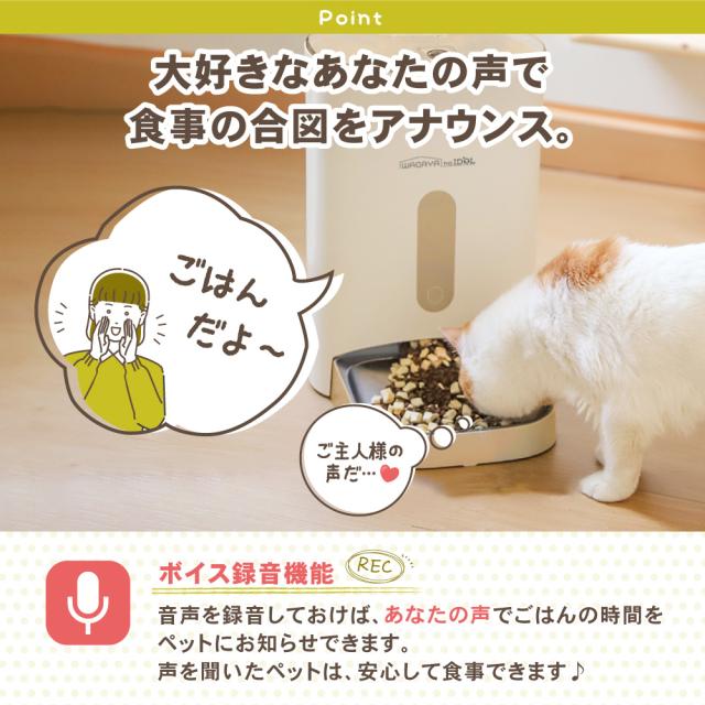 犬猫用自動給餌器 ごはんもりもり君