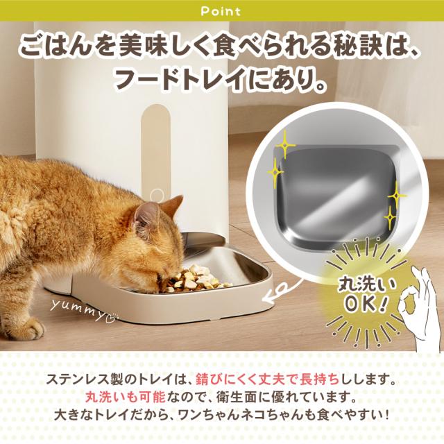 犬猫用自動給餌器 ごはんもりもり君