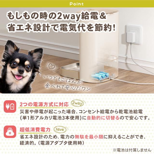 犬猫用自動給餌器 ごはんもりもり君