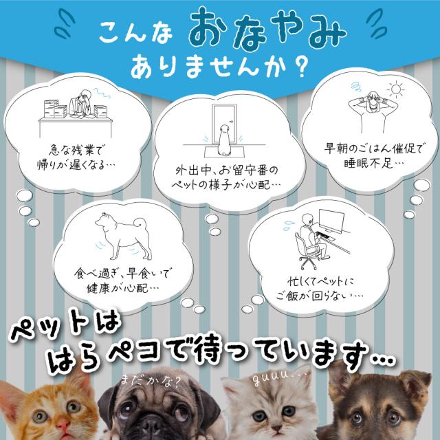 犬猫用自動給餌器 ごはんもりもり君PLUS