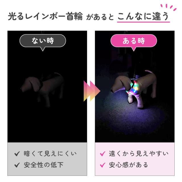 わが家のアイドル 光る レインボー首輪