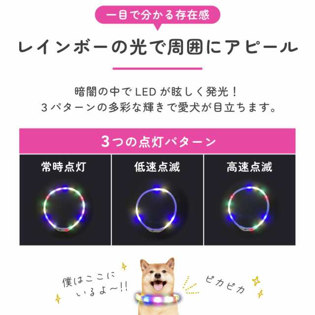 わが家のアイドル 光る レインボー首輪