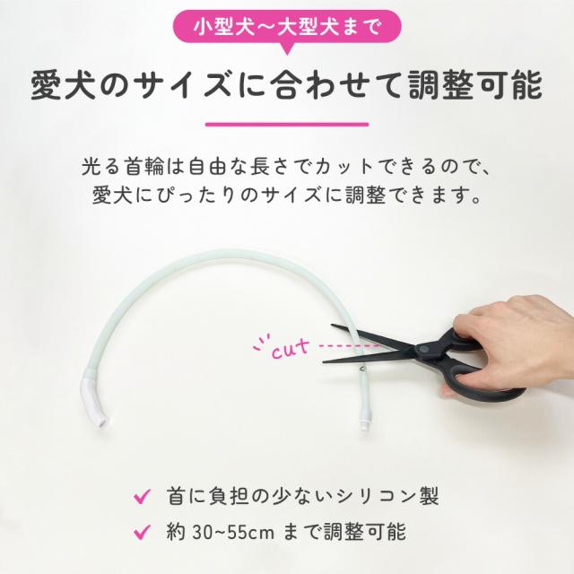 わが家のアイドル 光る レインボー首輪