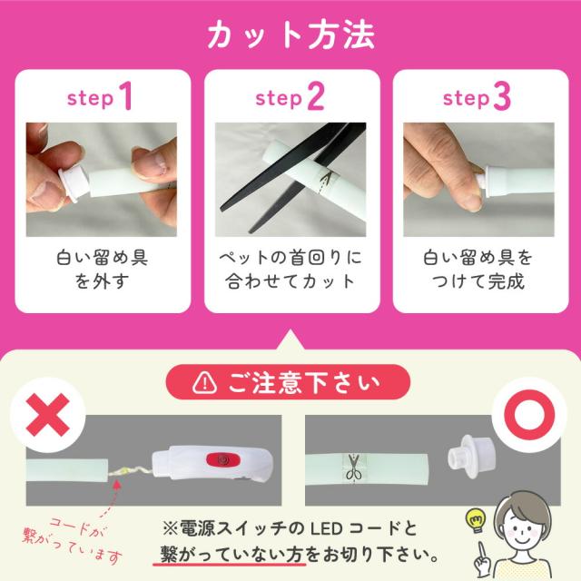 わが家のアイドル 光る レインボー首輪