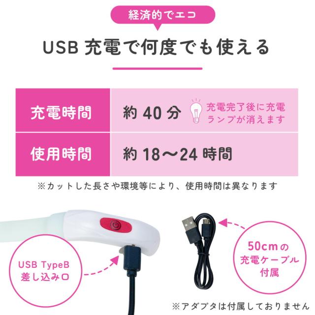 わが家のアイドル 光る レインボー首輪