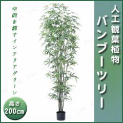 人工観葉植物 光触媒 バンブー 竹 210cm 【 光触媒 フェイク