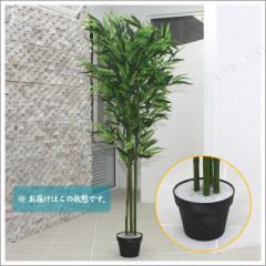 光触媒　人工観葉植物　ウォールグリーン　フェイクグリーン　バンブーツリー210 光触媒 人工観葉植物 ウォールグリーン フェイクグリーン