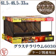 爬虫類・両生類用ケージ グラステラリウム 3030 【 飼育ケース 水槽