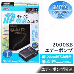 金魚飼育 エアーポンプ 4点セット 【 ペット用品 エアレーション