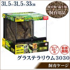 グラステラリウム3030 ① 飼育一式セット 爬虫類 楽天市場】GEX グラステラリウム 3030 爬虫類 飼育 ケージ