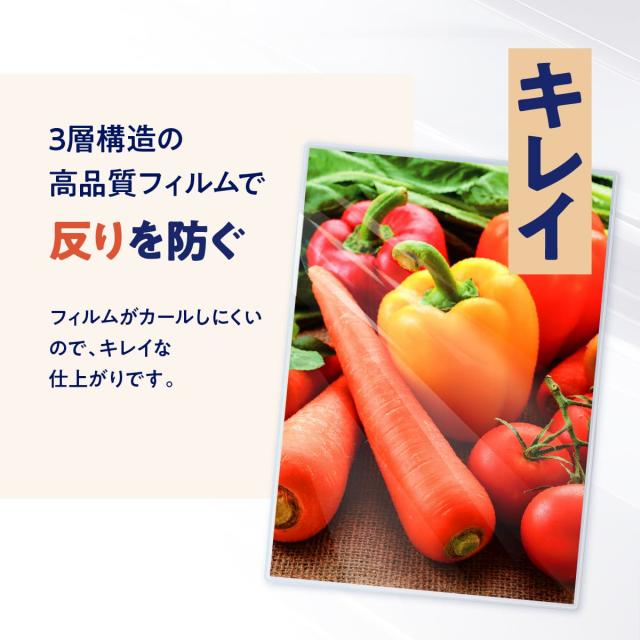 ラミフィルム 商品画像 7