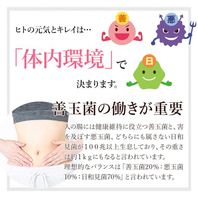 ケフィア ヨーグルト 種菌 手作り フィビナス 10包 (ヨーグルト10リットル分)  ケフィアヨーグルト カルシウム 粉末 たね菌 乳酸菌 酵母 豆乳 牛乳 腸活