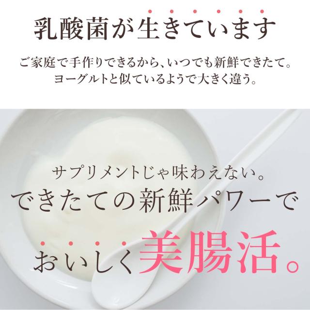 ケフィア ヨーグルト 種菌 手作り フィビナス 10包 (ヨーグルト10リットル分)  ケフィアヨーグルト カルシウム 粉末 たね菌 乳酸菌 酵母 豆乳 牛乳 腸活