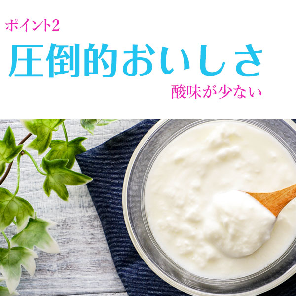 ケフィア ヨーグルト 種菌 手作り フィビナス 10包 (ヨーグルト10リットル分)  ケフィアヨーグルト カルシウム 粉末 たね菌 乳酸菌 酵母 豆乳 牛乳 腸活