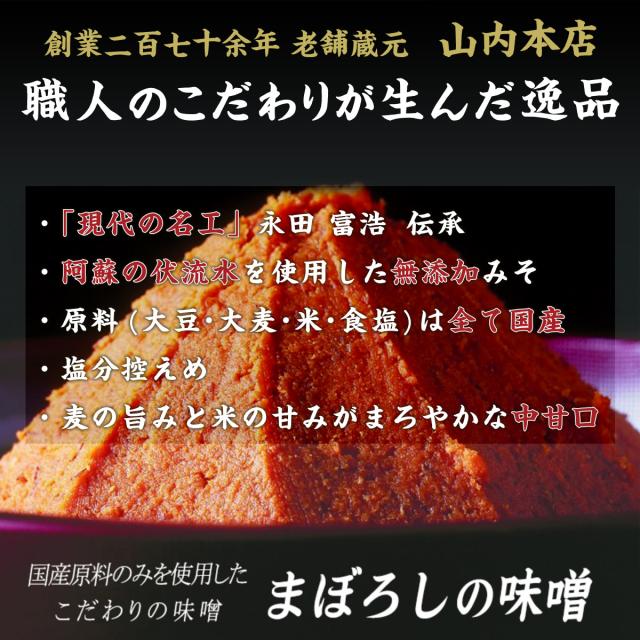 お中元 まぼろしの味噌 米麦あわせ 500g 熊本 九州味噌 ご当地 お取り寄せ ギフト 調味料 グルメ