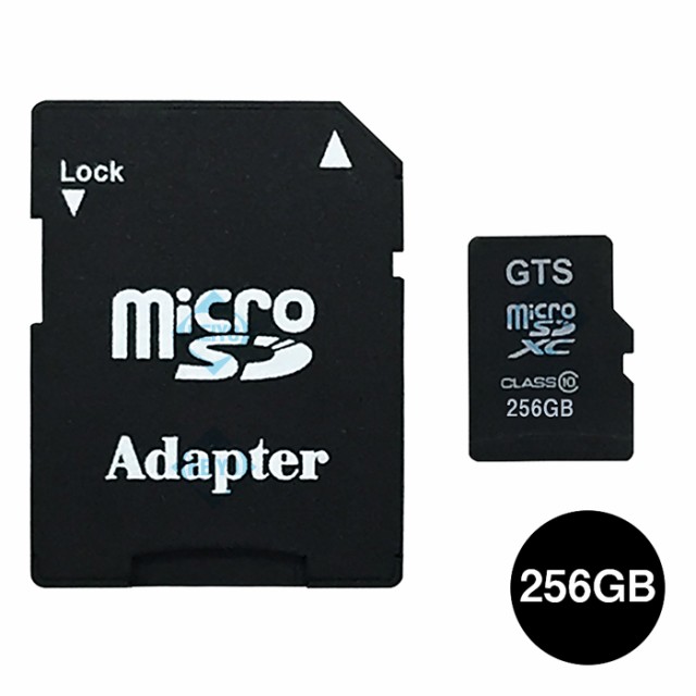 MicroSDX256GB