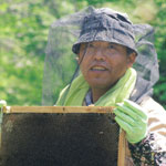 渡辺　豊文さん