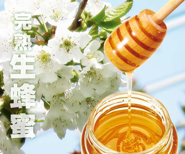 渡辺さんのさくらんぼ蜂蜜