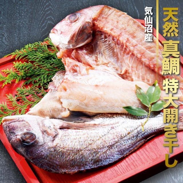 気仙沼産 天然真鯛特大開き干し