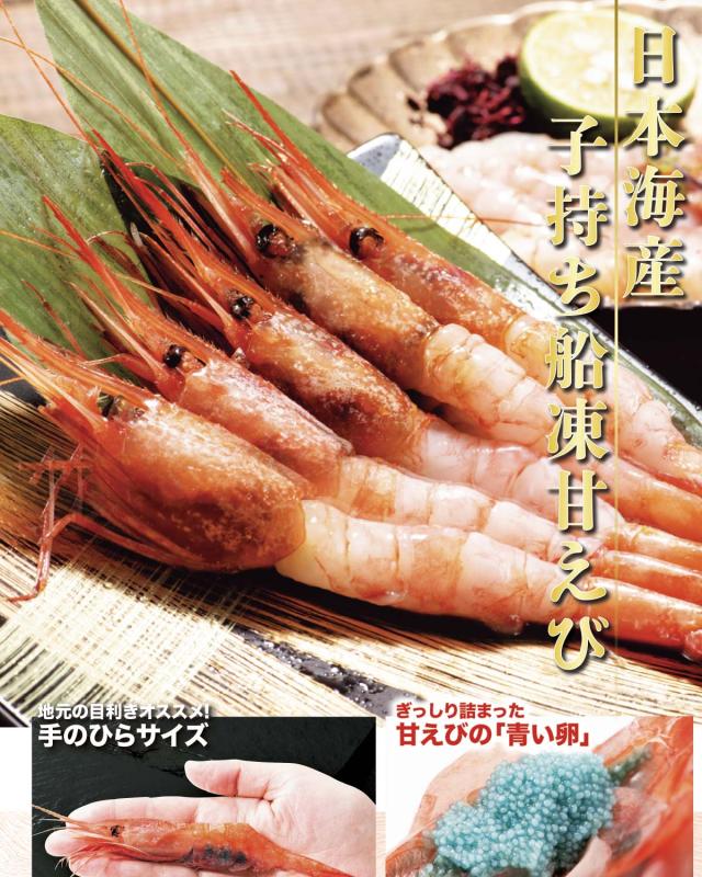 日本海産 子持ち船凍甘えび