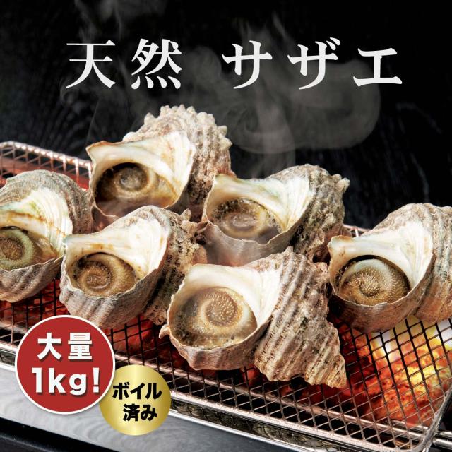 天然 サザエ(ボイル済 加熱用)