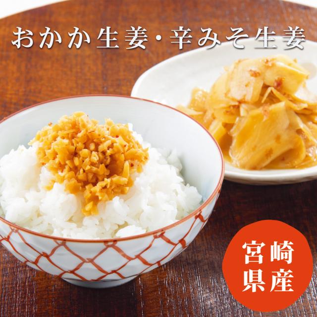 宮崎県産 おかか生姜・辛みそ生姜