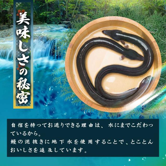 本場三河の名店・一愼、監修　国産鰻 満腹セット