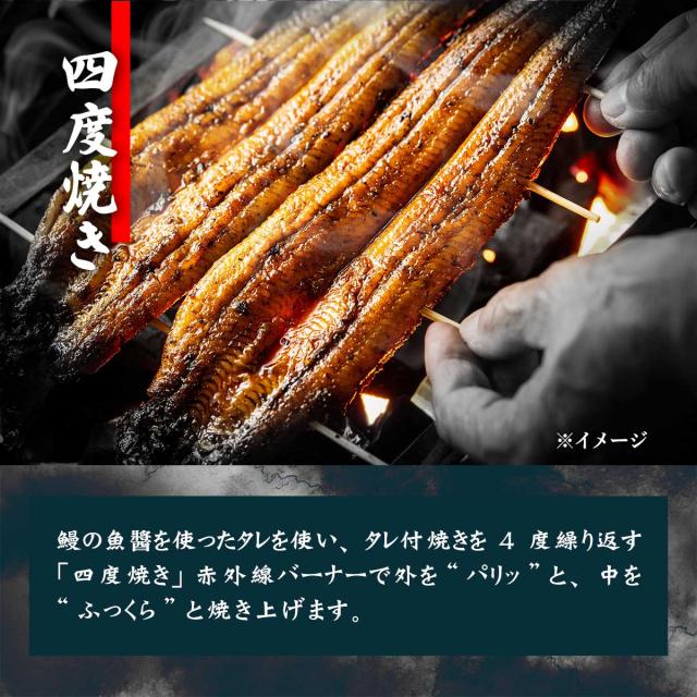 本場三河の名店・一愼、監修　国産鰻 満腹セット