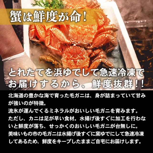 とれたて！美味いもの市au