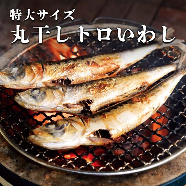 特大サイズ　丸干しトロいわし