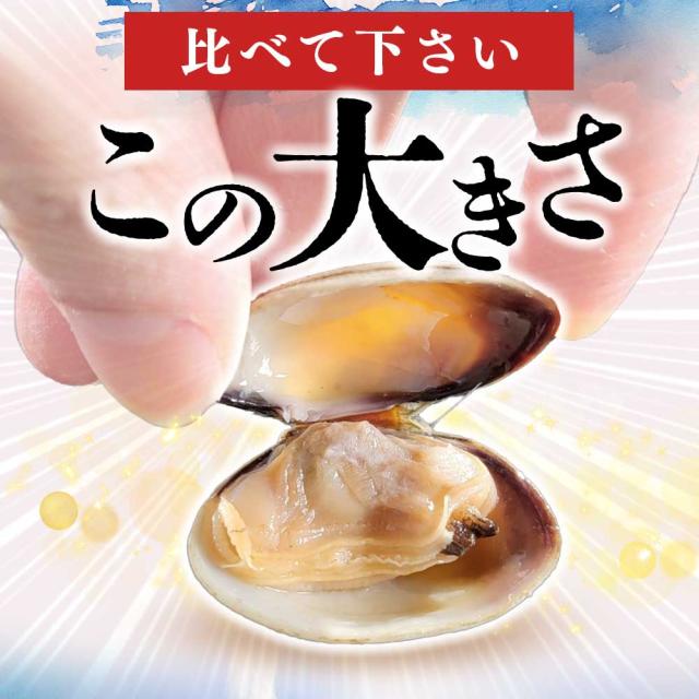 北海道・厚岸漁協、天然のブランドあさり