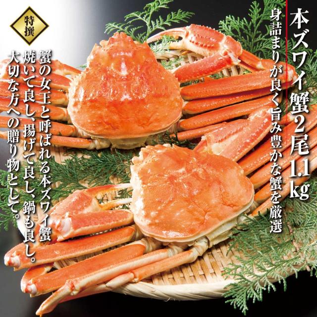 特撰 本ズワイガニ姿 2尾